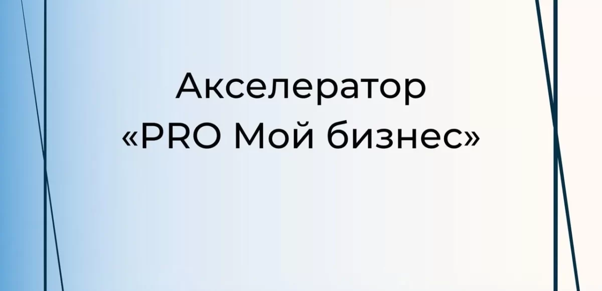 акселератор pro Мой бизнес